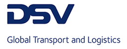 DSV Solutions Ltd.